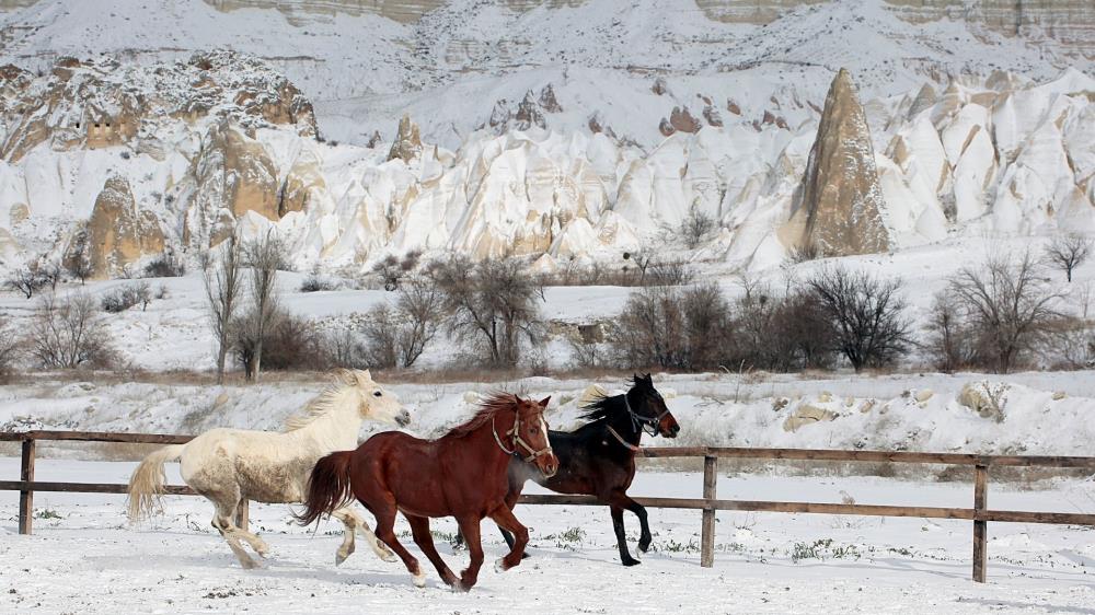 Cappadocia Horse Safari Tour
