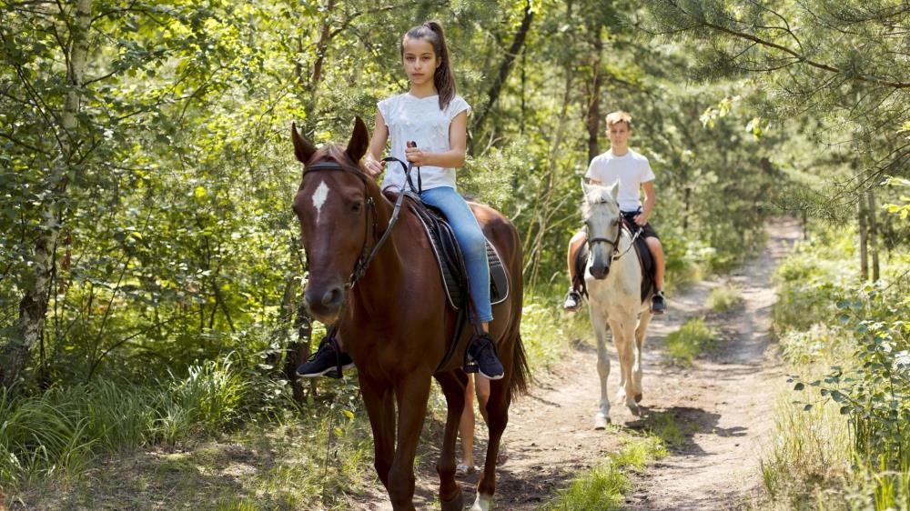 Kusadasi Horse Safari Tour