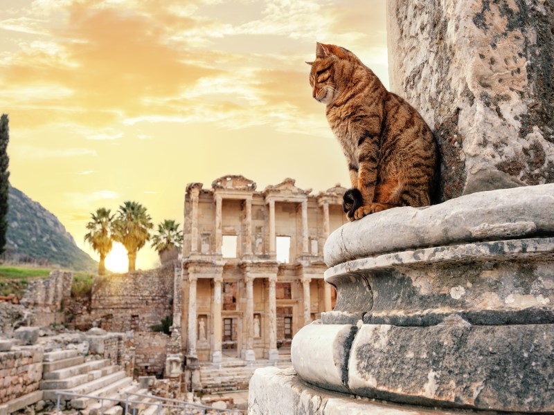 Ephesus Ancient City
