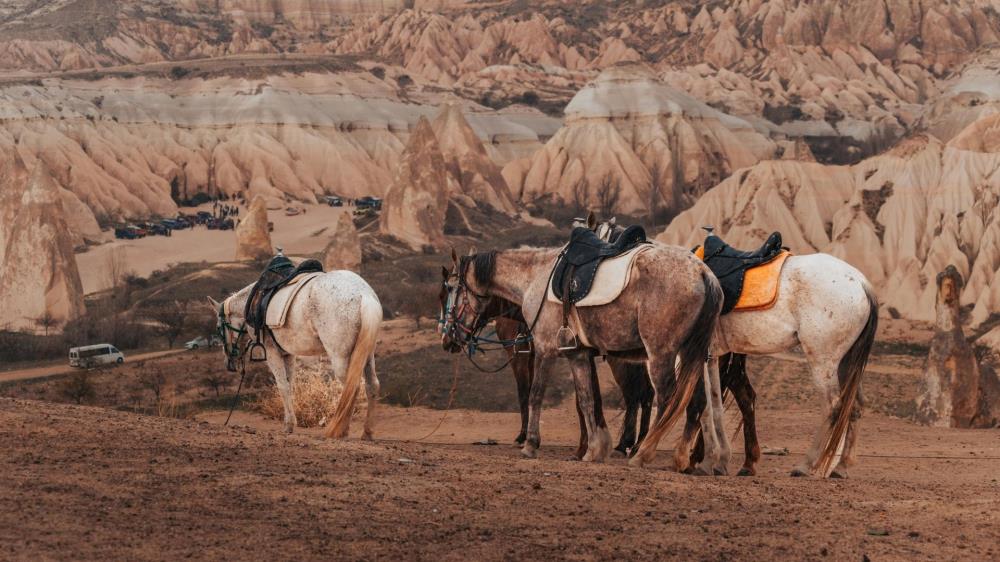 Cappadocia Horse Safari Tour