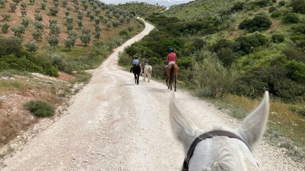 Kusadasi Horse Safari Tour