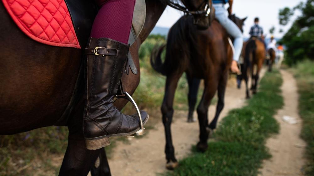 Kusadasi Horse Safari Tour