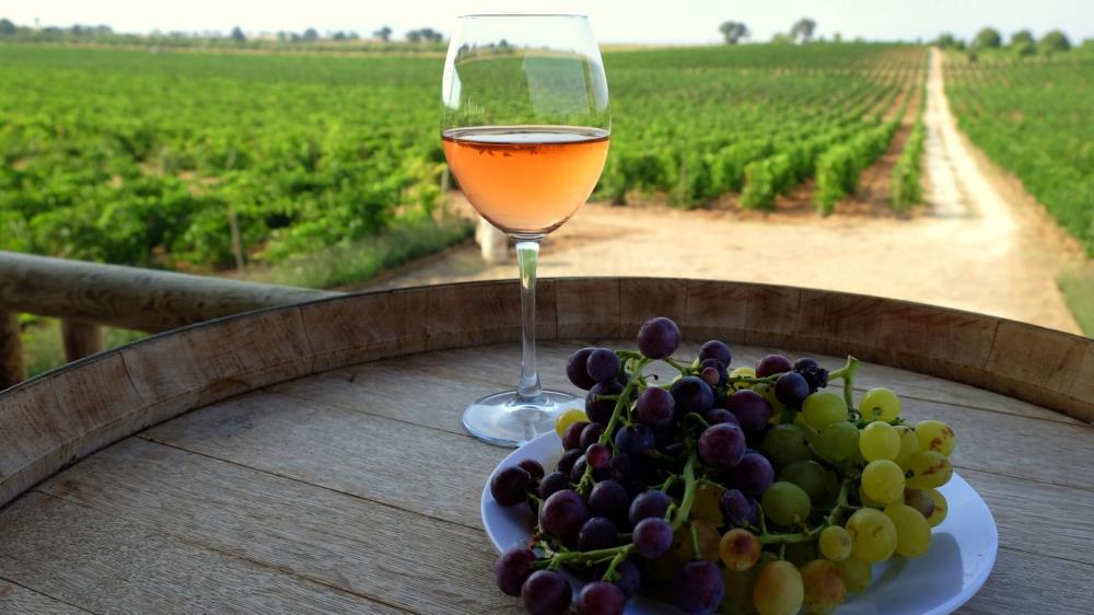 Pamukkale Daily Tours